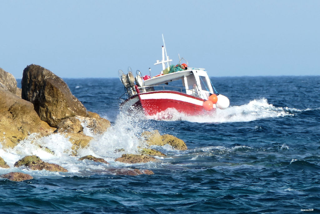 Concours photo "Danger Immédiat" Juillet 2022  P1520110