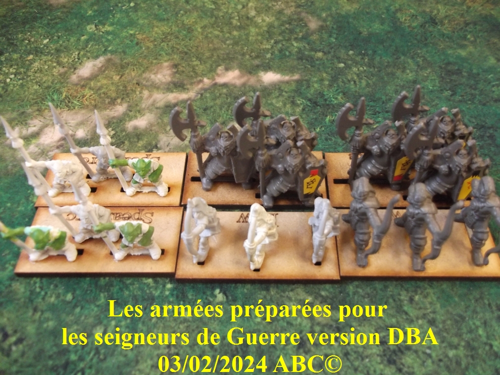 Les seigneurs de Guerre version DBA 04-dba18