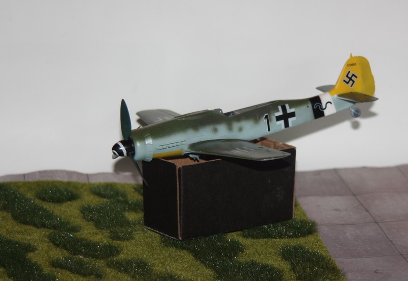 1/48   FW 190 D  HOBBY BOSS - Page 2 Img_9744