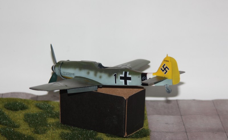 1/48   FW 190 D  HOBBY BOSS - Page 2 Img_9745