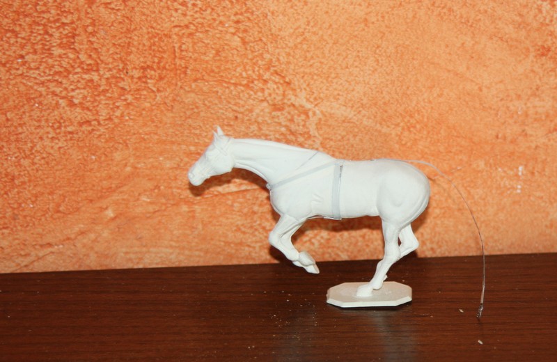 54 mm CHEVAL HISTOREX Img_9960