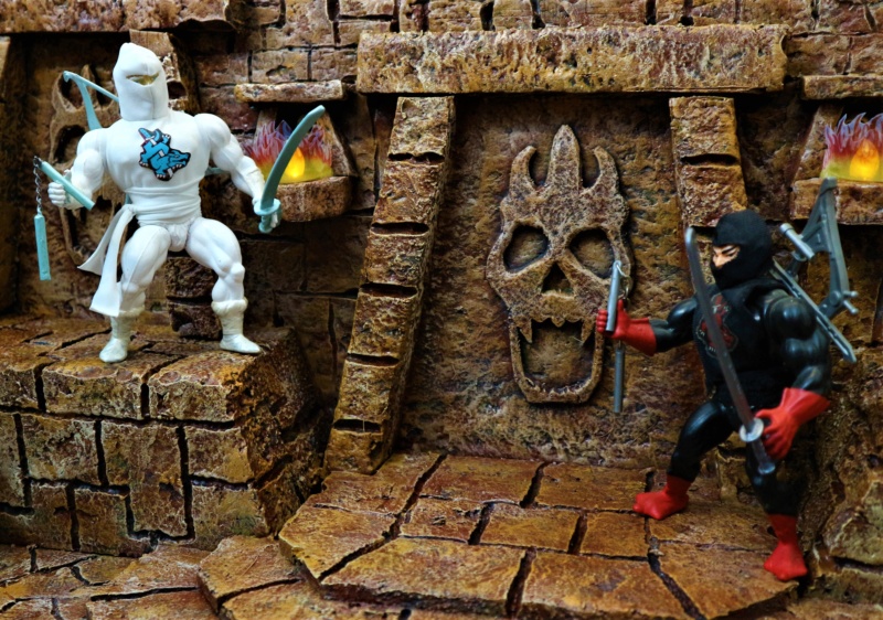 SLAMURAÏ VS NINJOR MOTU VINTAGE Slamur13