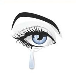 0 - JUEGO SIGUE LA IMAGEN II - Página 54 Crying10