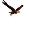 Zanella Patagonian Eagle 150 - No arranca 726cmd10
