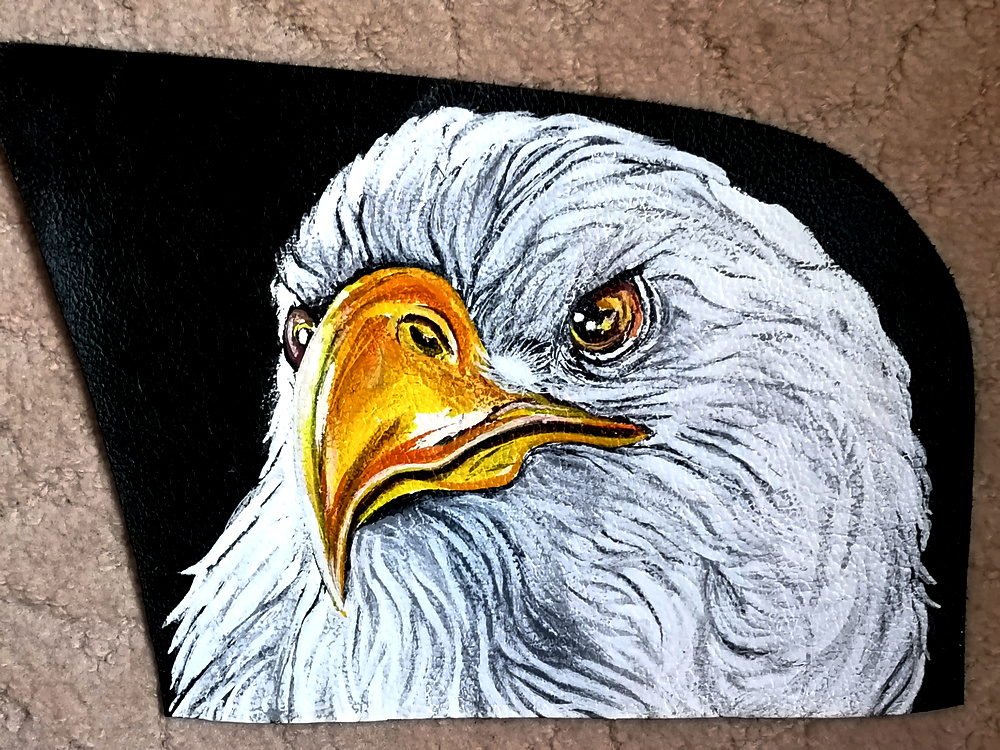 Bald eagle Img_2011