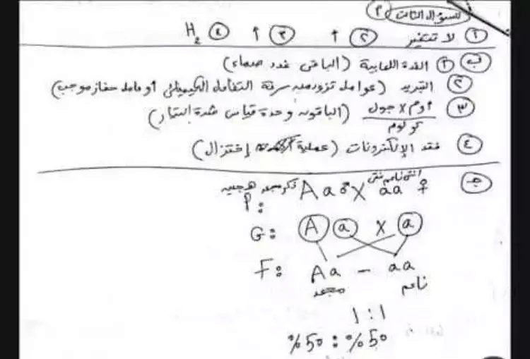 امتحان العلوم ثالثة اعدادي ترم ثاني 2023 محافظة البحيرة 2_202315