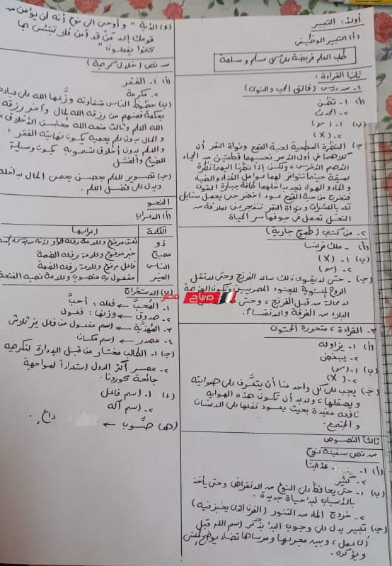 نموذج إجابة امتحان اللغة العربية ثالثة اعدادي ترم ثاني 2022 محافظة القاهرة 910
