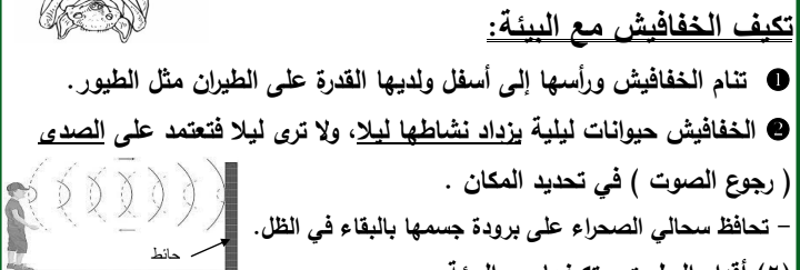 بوكليت مراجعة المتميز في العلوم للصف الرابع الترم الأول 2023  Screen53