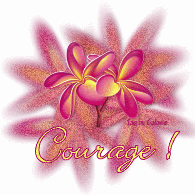 Mercredi 24 Avril, déjà. Courag10