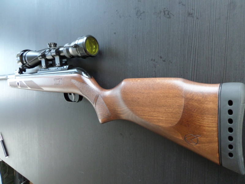 Gamo Hunter 440AS IGT 5.5mm Sam_1812