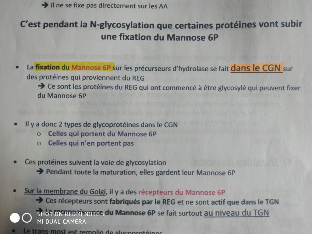 Concours UE2 2015/2016 - Q51 15444710