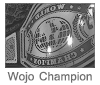 Wrestling Dojo! Roster & Titles Wojoch11