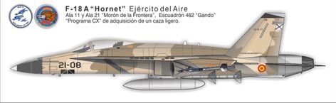 FUERZA AÉREA ESPAÑOLA (Ejército del Aire) - Página 8 A45c2010