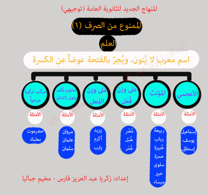 الدرس الأول من دروس العلوم اللغوية (الممنوع من الصرف1) للثانوية العامة حسب المنهاج الجديد  Aaaai_11