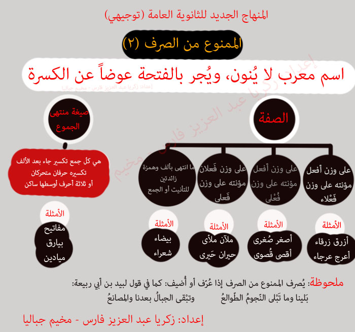 الدرس الثاني من دروس العلوم اللغوية (الممنوع من الصرف 2) حسب المنهاج الفلسطيني الجديد للثا Aaaai_12