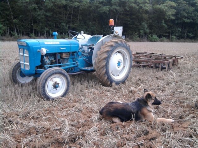 fordson  Photo110