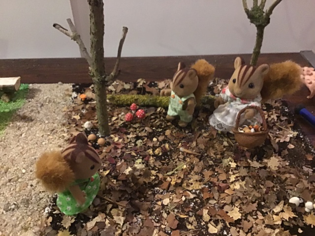 GALERIES DE PHOTOS "AUTOMNE CHEZ NOS SYLVANIANS" année 2018 Img_0217