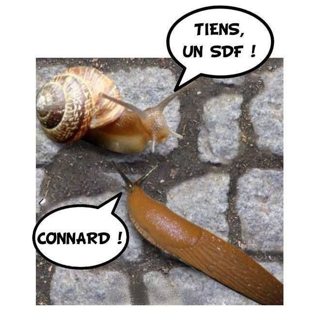 Blagues de comptoir... - Page 38 429e4810