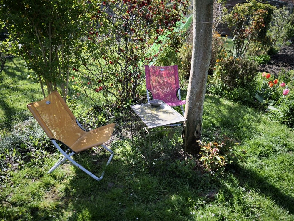 Concours photos avril 2021 "C'est le printemps" - Page 3 P1008416