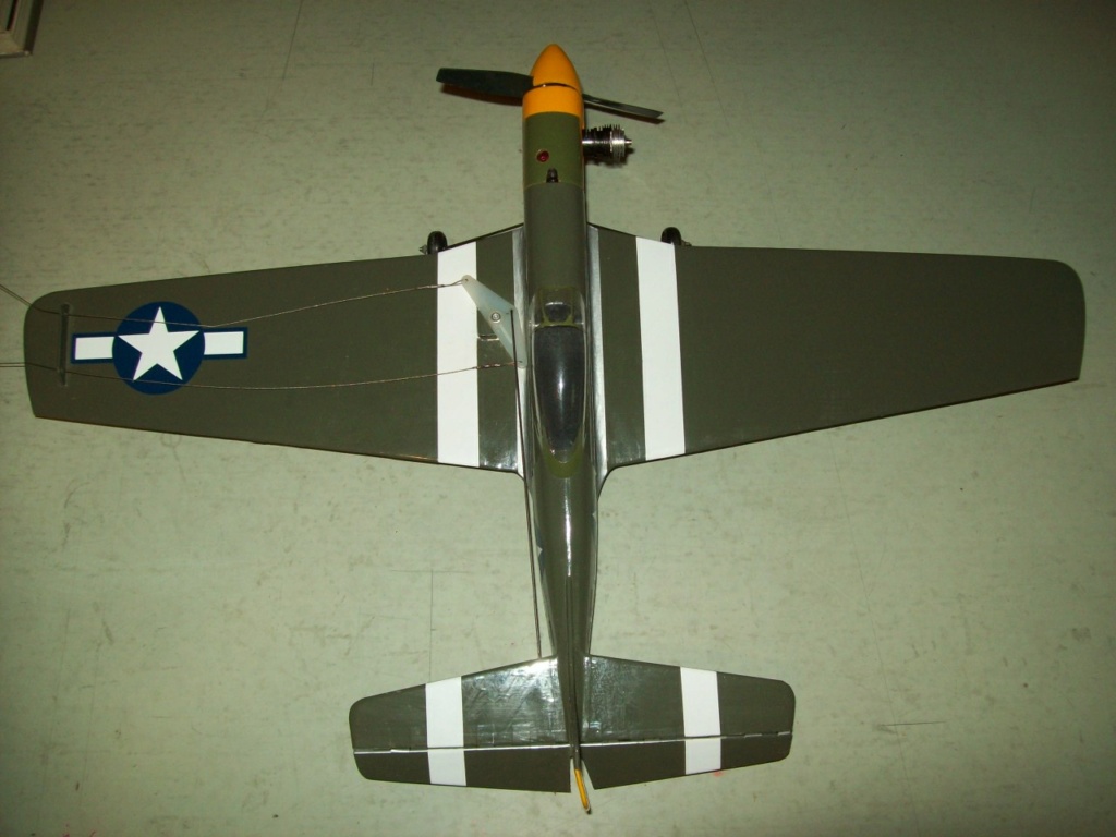 Scientific F-51 Mustang 100_4718