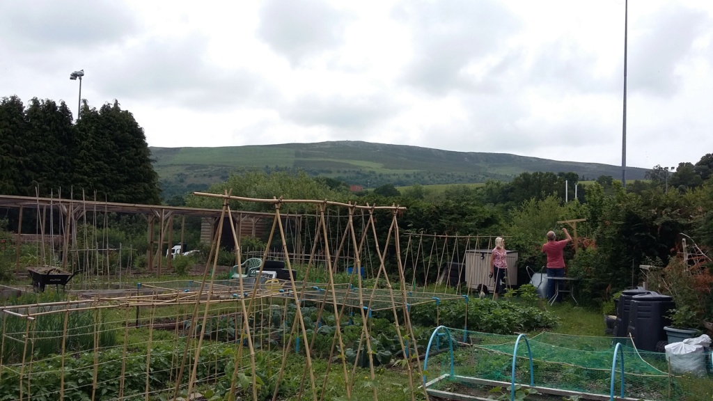 Allotment 20200614