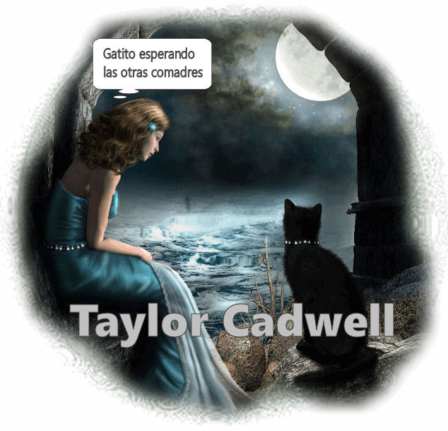 Comadre Taylor E36baa11