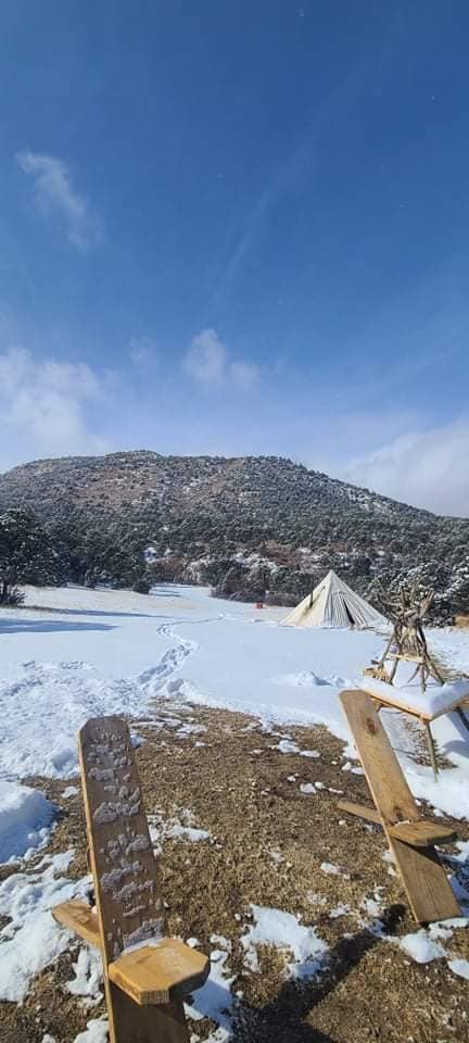SFTR Winter Survivors Encampment 2022 27350810