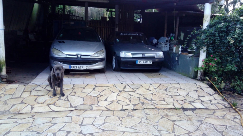 206 1.9d XR PRESENCE de 1999 avec clim 655fb010