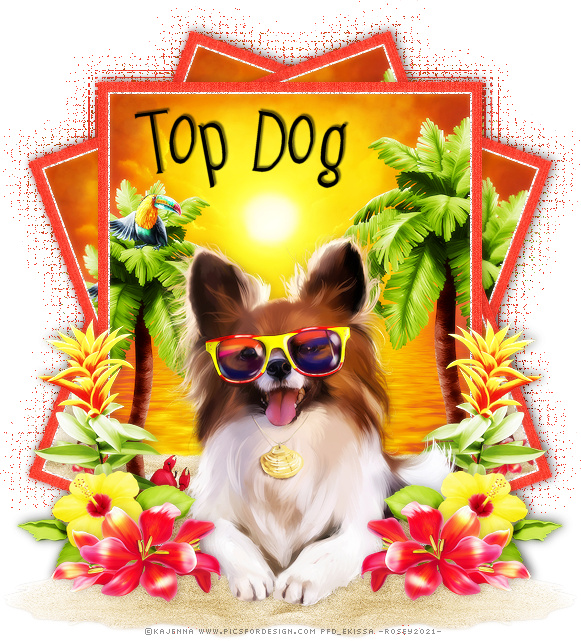 TOP DOG (GAME) Topdog10