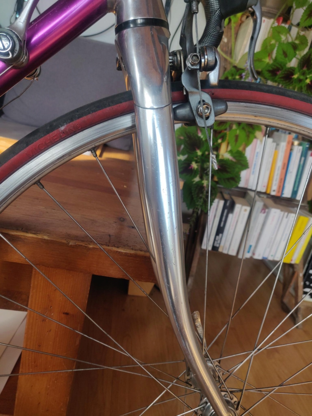 Vitus 992 Signal11