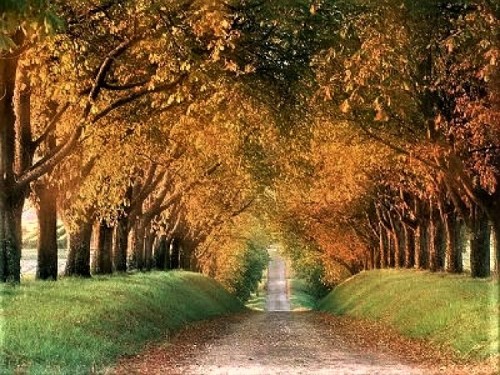 Autumn....in the World * - Page 2 X_2612