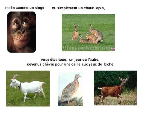 Le français, une langue animale...* Xg_0310