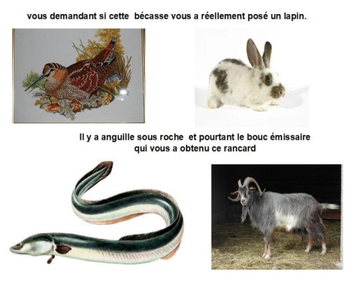 Le français, une langue animale...* Xg_0510