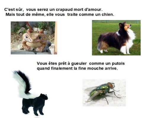 Le français, une langue animale...* Xg_0710