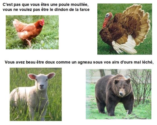 Le français, une langue animale...* Xg_1210