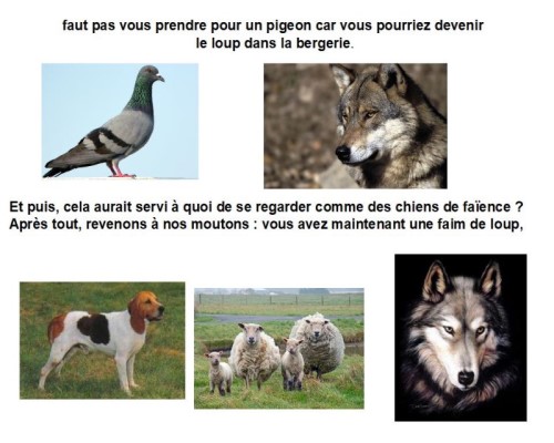 Le français, une langue animale...* Xg_1310