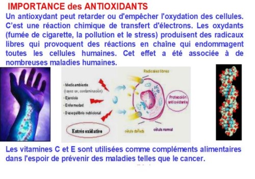 Les habitudes nuisibles au cerveau * Xx_0867