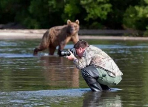 Bravo aux photographes * Xx_1010