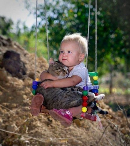 Les chats nos petits compagnons - Page 7 Xx_14913