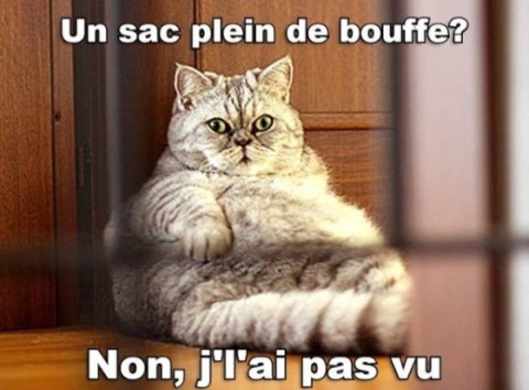 Pluie d´humour en images - Page 8 Xx_bou11