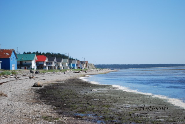 Ile de malheur, Ile de libert !! Dsc_4112