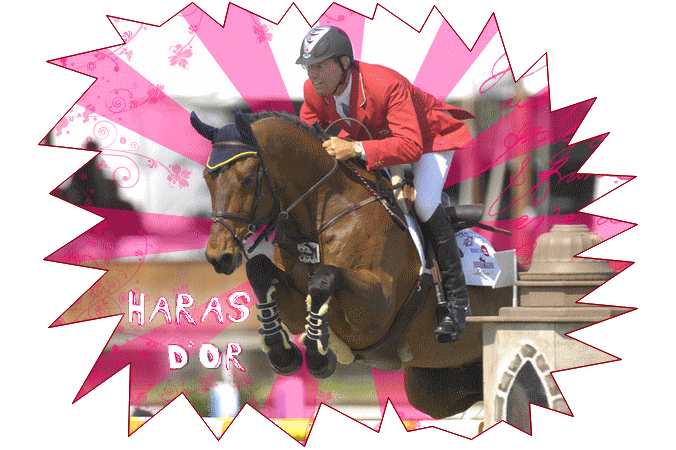 .:.Le haras d'or.:.