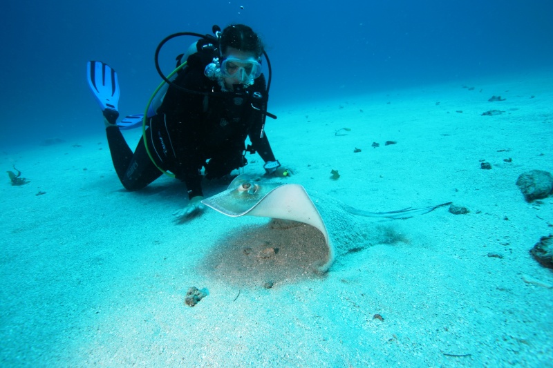 plongée aux antilles 2aout_17