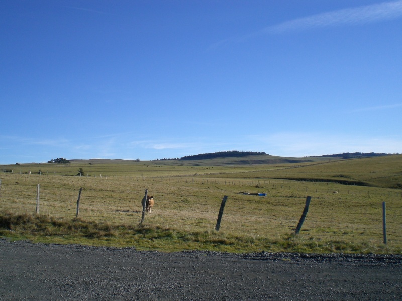 La Toussaint au fil des jours Cimg5822