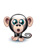 besoin d'aide pour identifier un semnopitheque... Singe410