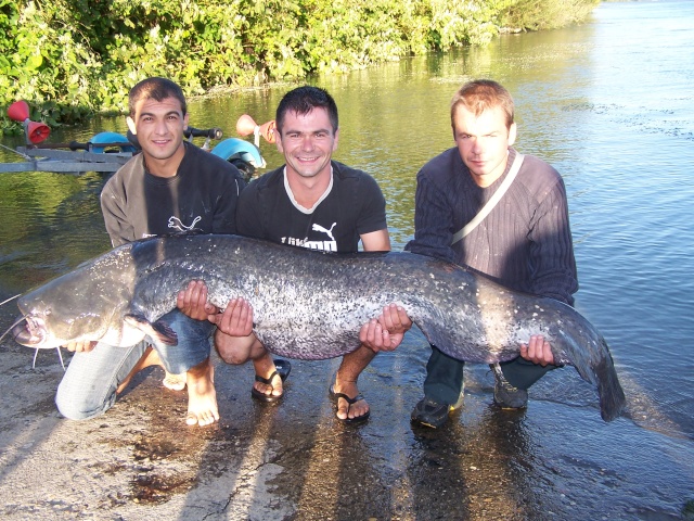 Grand concours de pêche au silure Concou62