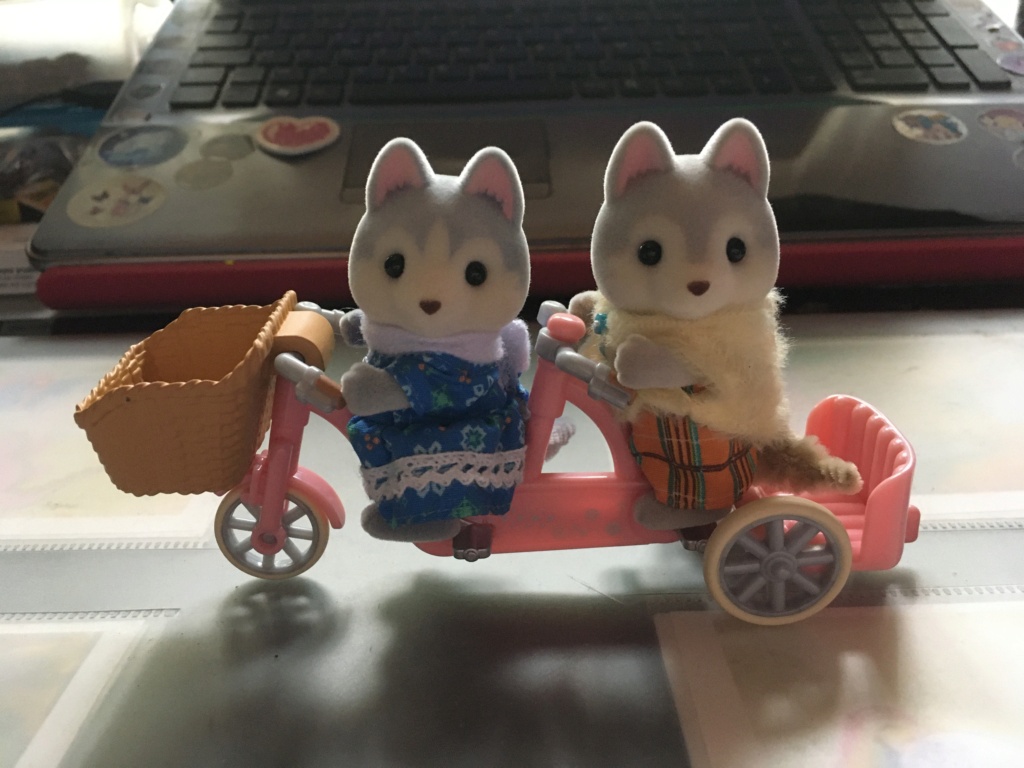 sylvanian et petit malin, je suis foutue !!  - Page 10 35893d10