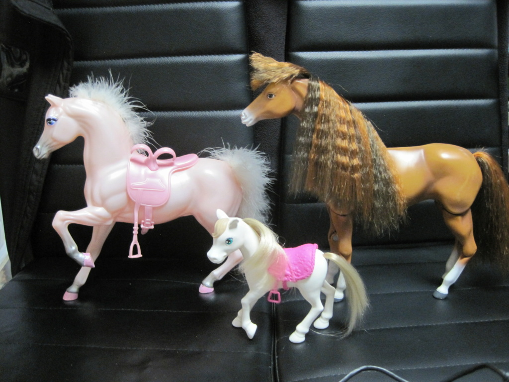 [barbie et ses chevaux] une non collection qui en deviens une malgré moi  - Page 4 Img_2198