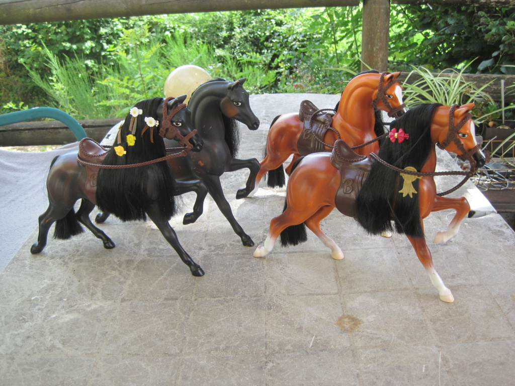 Mes chevaux de barbie - mon haras  Img_3168