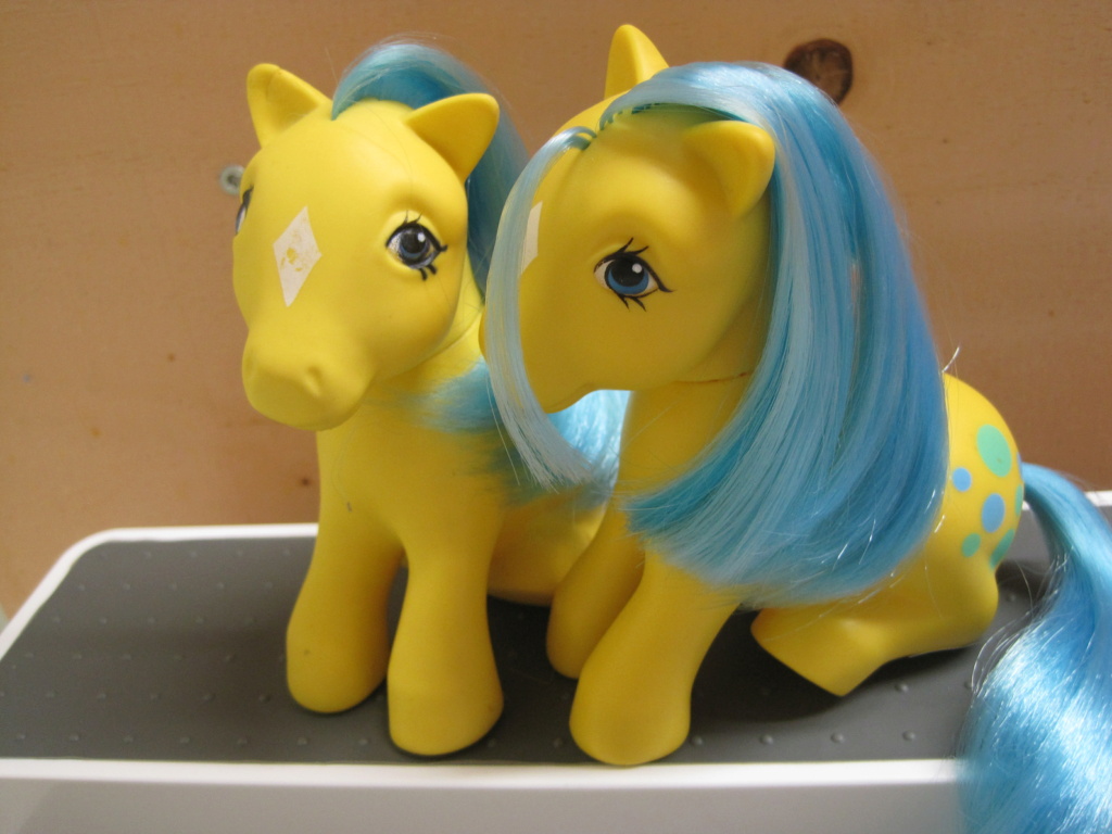 mes petits poneys g1 et lien pour la recap de mes poneys - Page 34 Img_3723